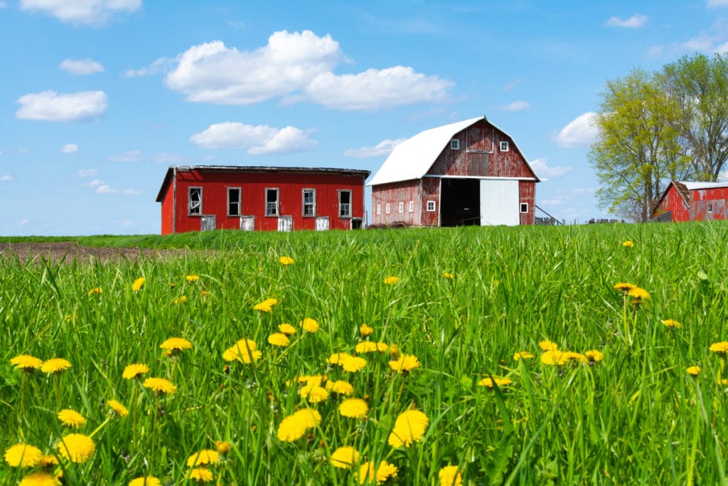 Maryland Farm Bureau